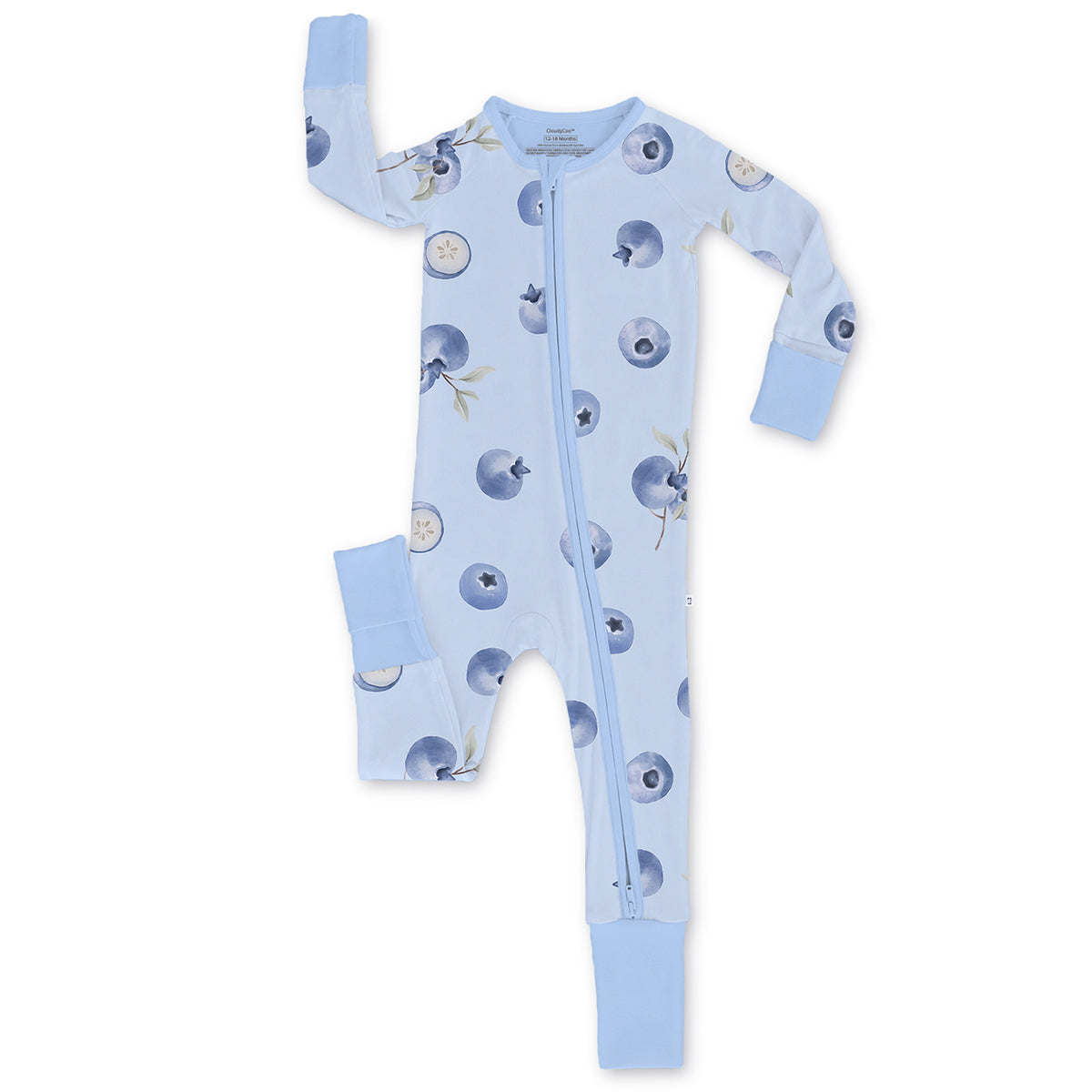 Blueberry Picnic Zippy
