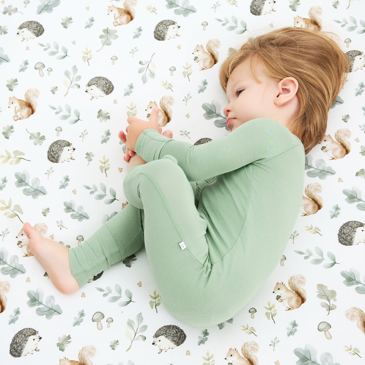 Sage Whisper Zippy SLEEP
